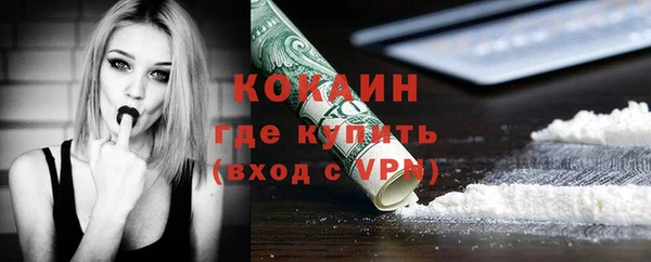 шишки Абинск