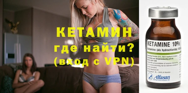 СК Новодвинск