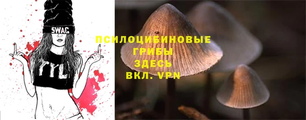 метадон Новозыбков