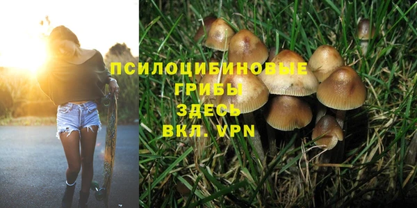шишки Абинск