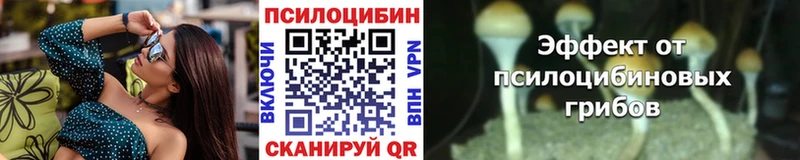 это как зайти  OMG зеркало  Кисловодск  что такое наркотик  Псилоцибиновые грибы Psilocybine cubensis 
